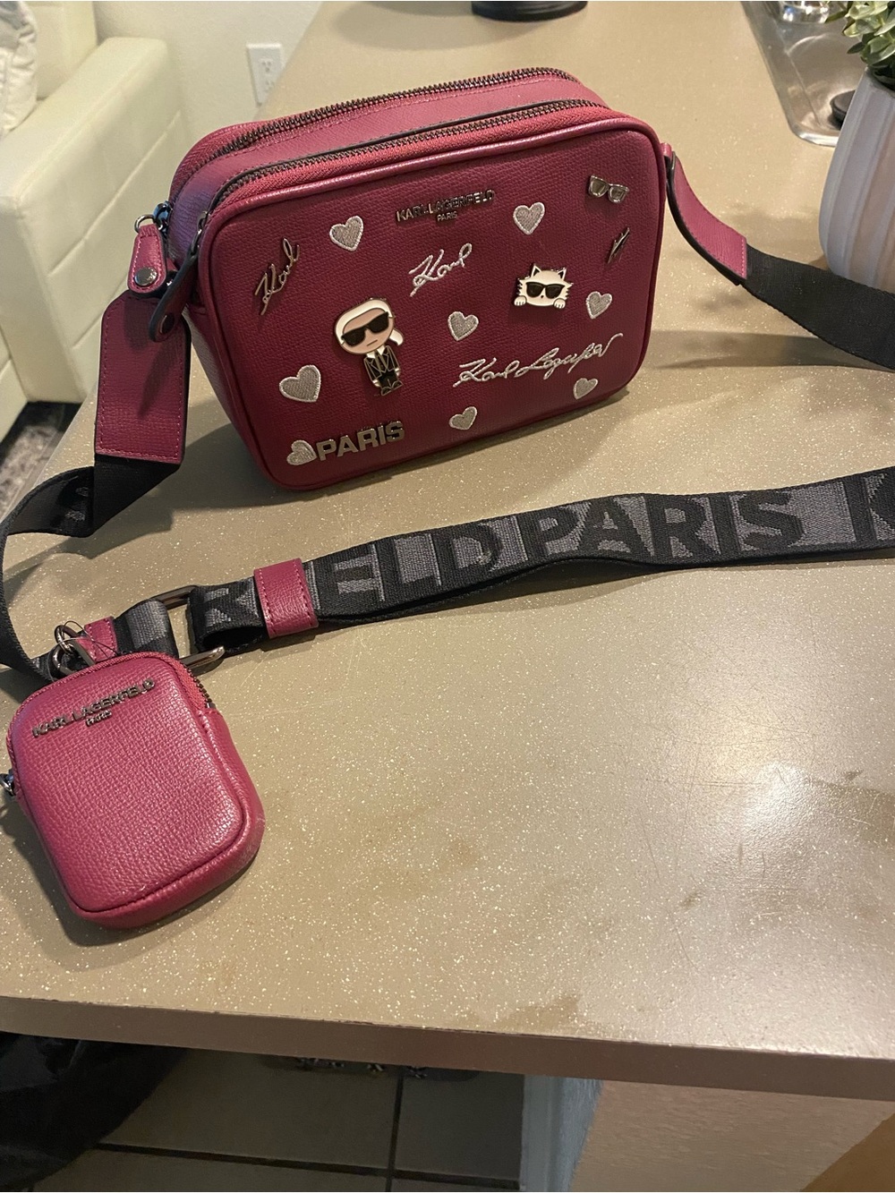 Karl Lagerfeld Paris Pink Crossbody Camera Bag with Pouch